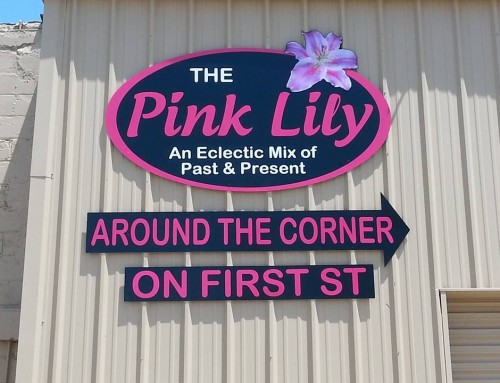 The Pink Lily